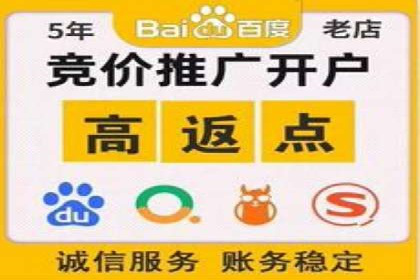 案例解析：竞价推广代运营助力企业实现精准营销